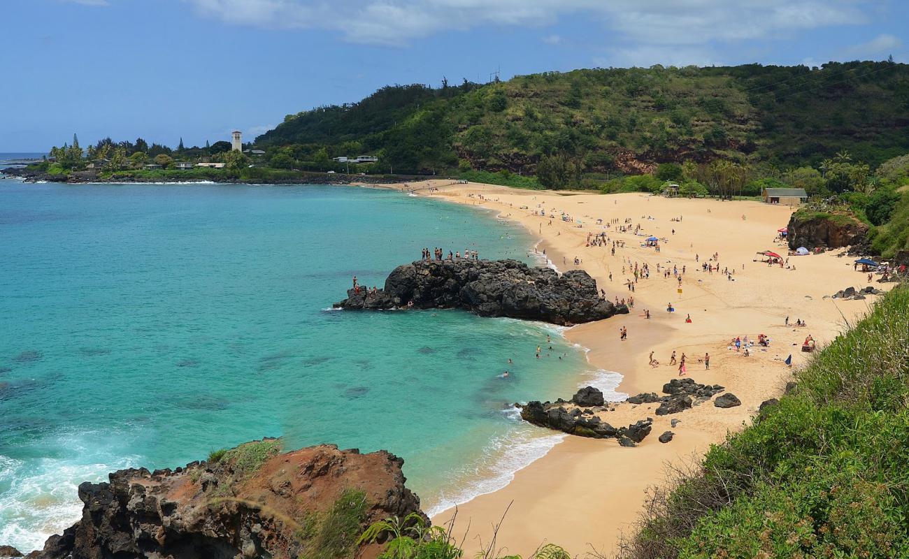 Photo de Waimea Beach avec sable lumineux de surface