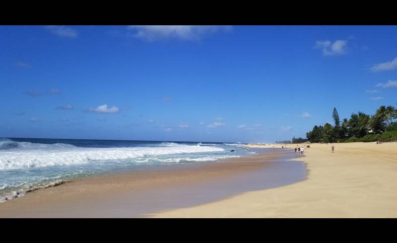 Photo de Ehukai Beach avec sable lumineux de surface