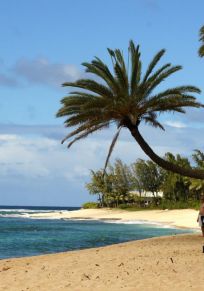 Waiale'e