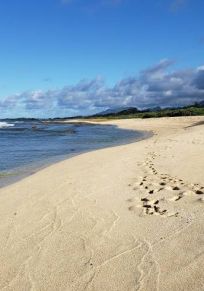 Kahuku
