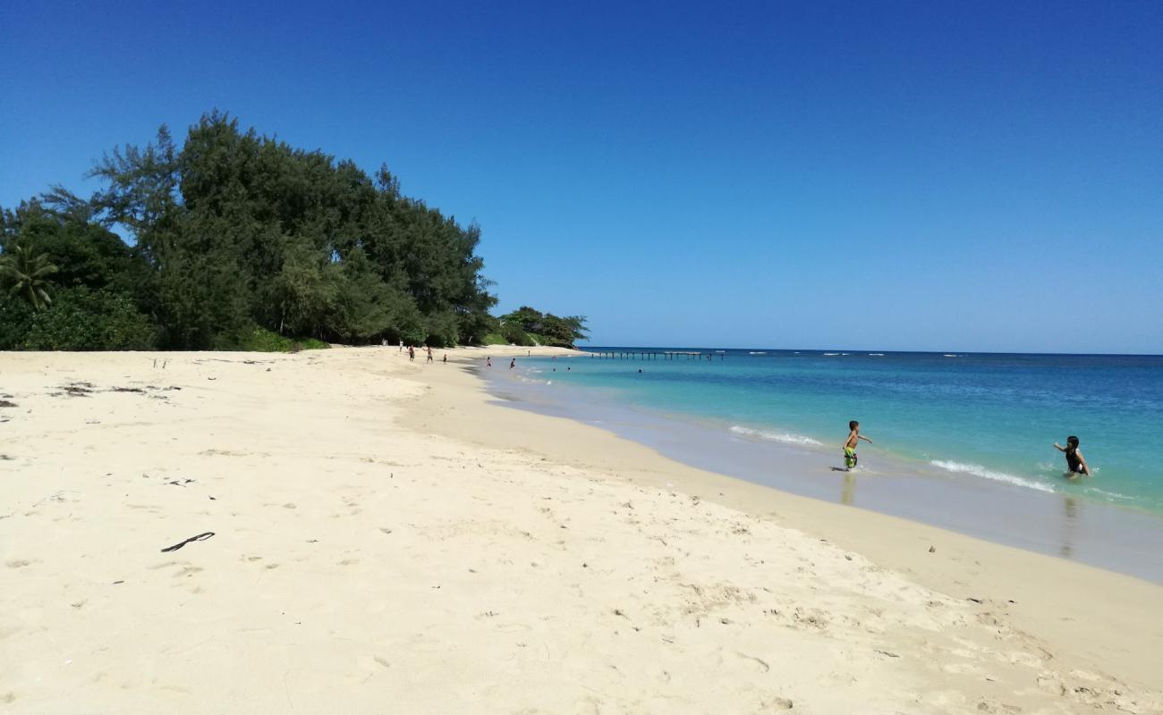 Photo de Pounder's Beach avec sable lumineux de surface