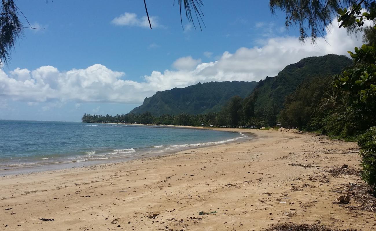 Photo de Punalu'u Beach Park avec sable lumineux de surface