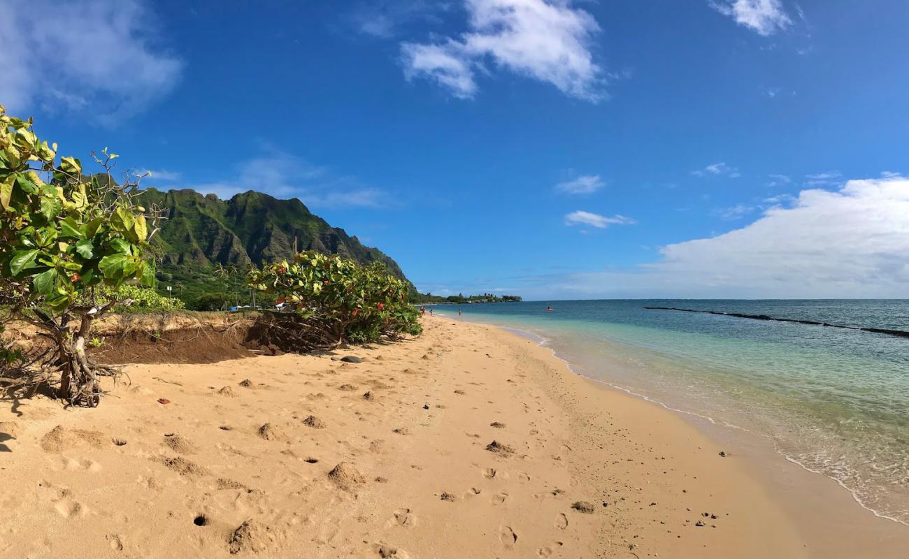 Photo de Kualoa Beach avec sable lumineux de surface