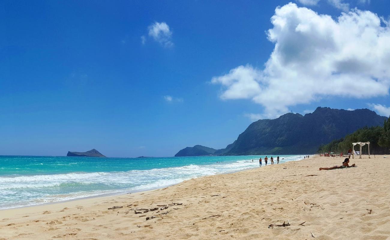 Photo de Bellow Surf Spot Beach avec sable fin et lumineux de surface