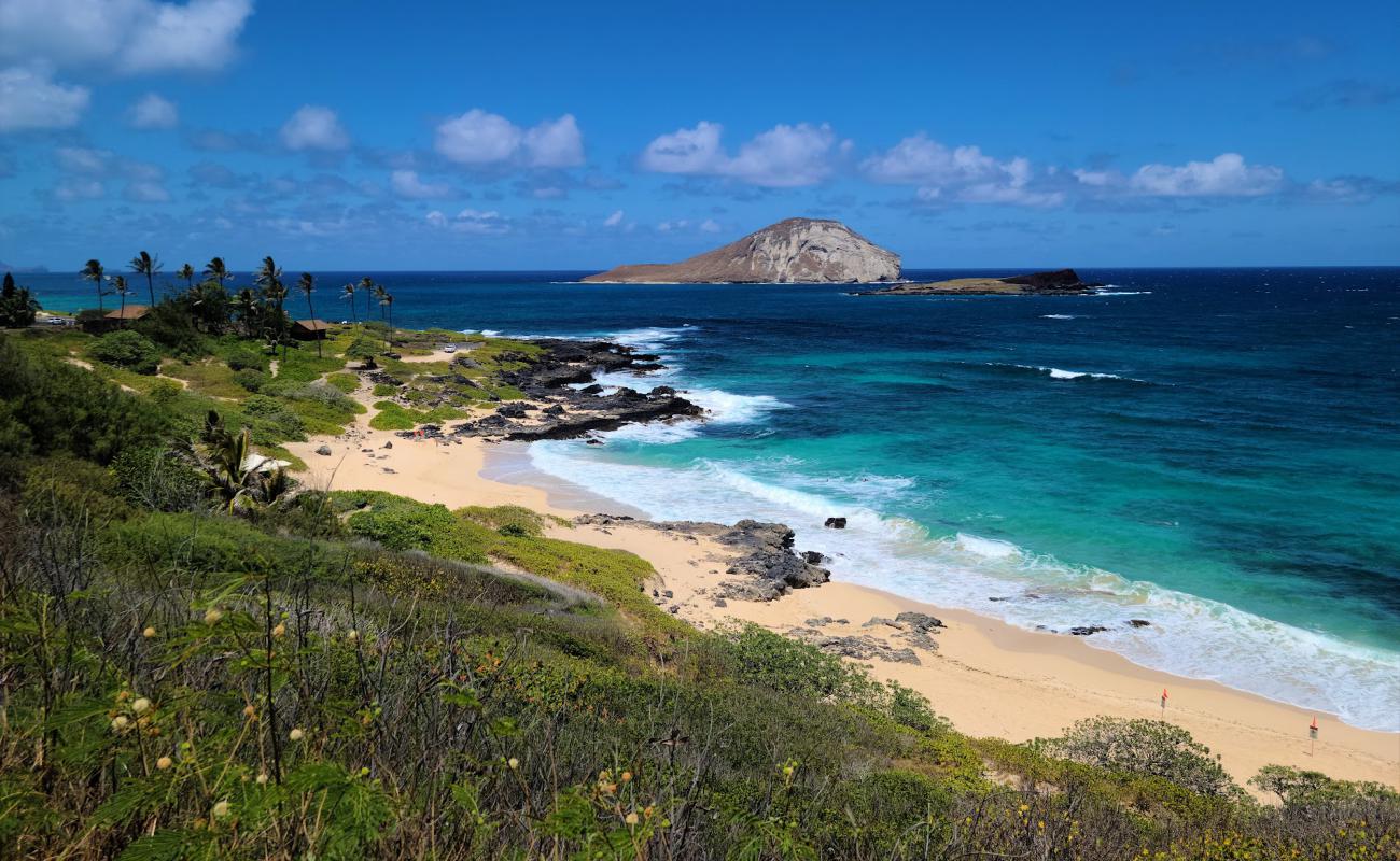 Photo de Plage de Makapuu avec sable fin et lumineux de surface