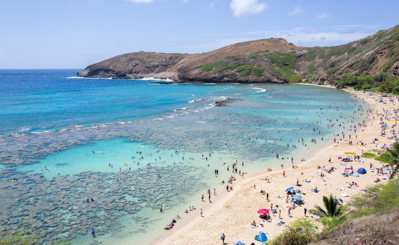 Photo de Hanauma Bay avec sable fin et lumineux de surface