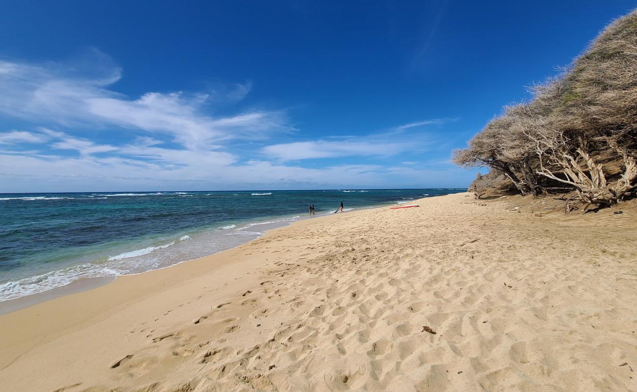 Photo de Diamond Head Beach Park avec sable brillant et rochers de surface