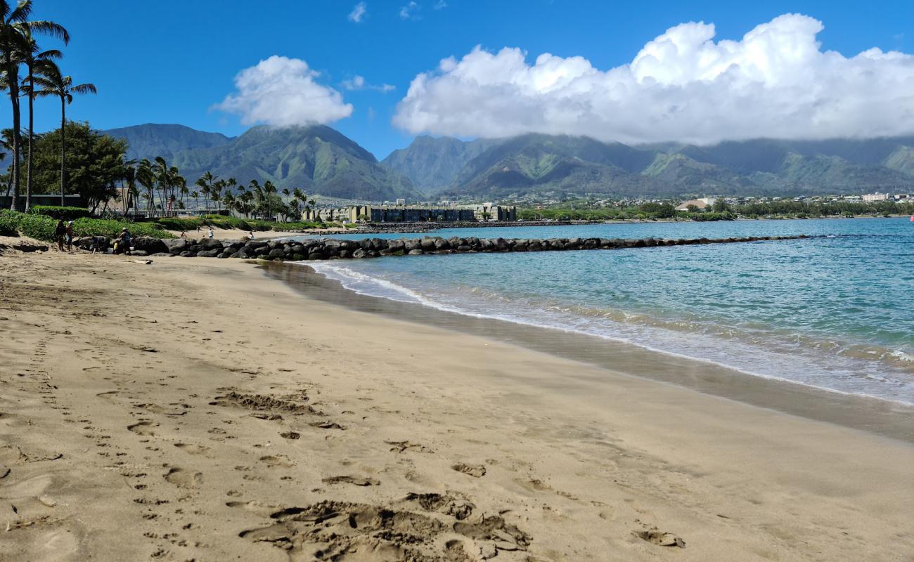 Photo de Ho'aloha Beach avec sable gris de surface