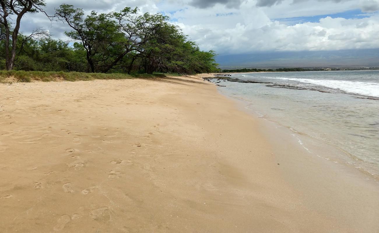Photo de Maalaea Beach avec sable beige de surface