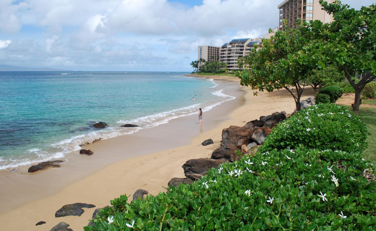 Photo de Pohaku beach avec sable lumineux de surface