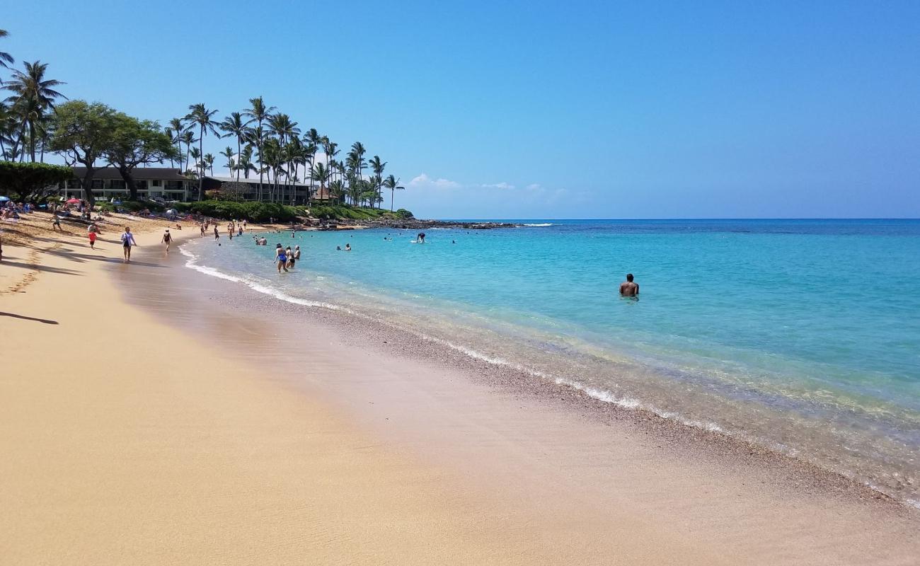 Photo de Plage de Napili Bay avec sable fin et lumineux de surface