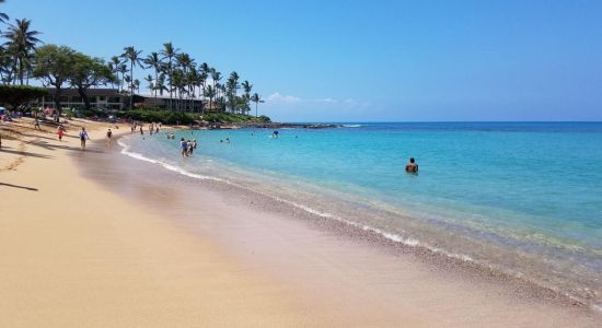 Plage de Napili Bay