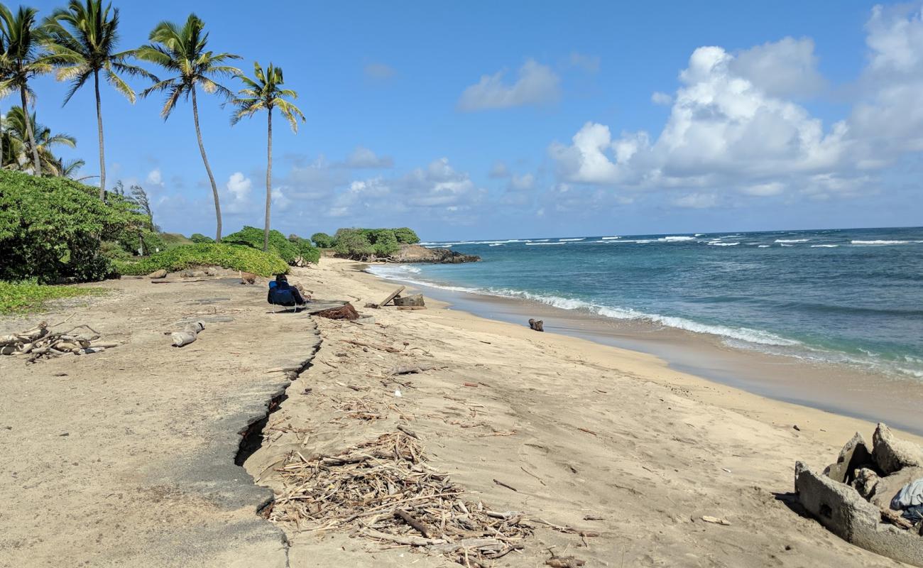 Photo de Waiehu Beach avec sable clair avec caillou de surface