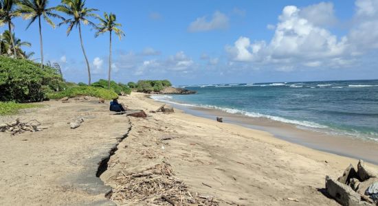 Waiehu Beach