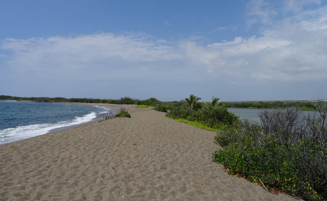 Photo de Honokohau Beach avec sable gris de surface