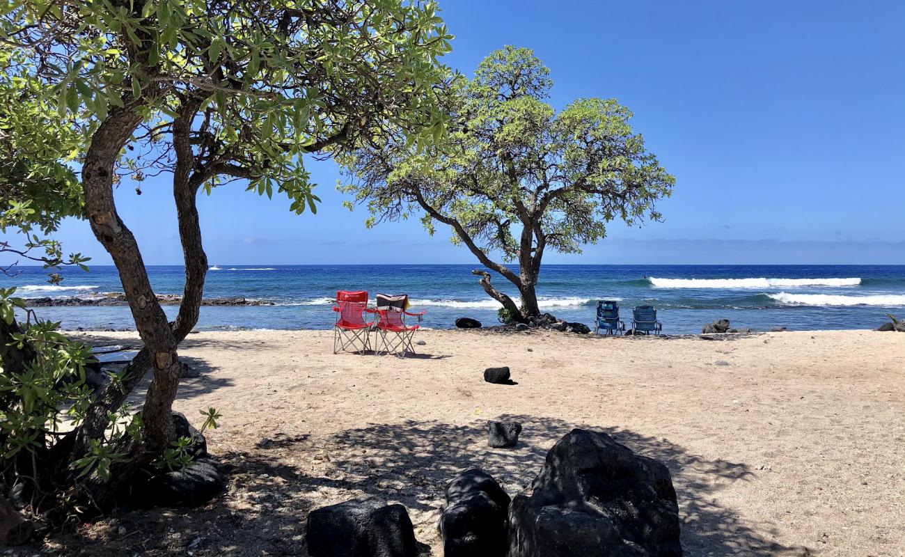 Photo de Pine Trees Beach avec sable brillant et rochers de surface