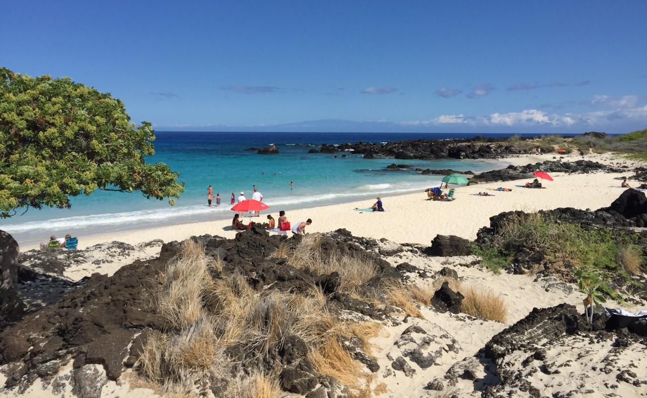 Photo de Makalawena Beach avec sable fin et lumineux de surface