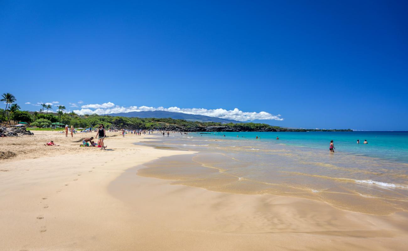 Photo de Hapuna Beach avec sable fin et lumineux de surface