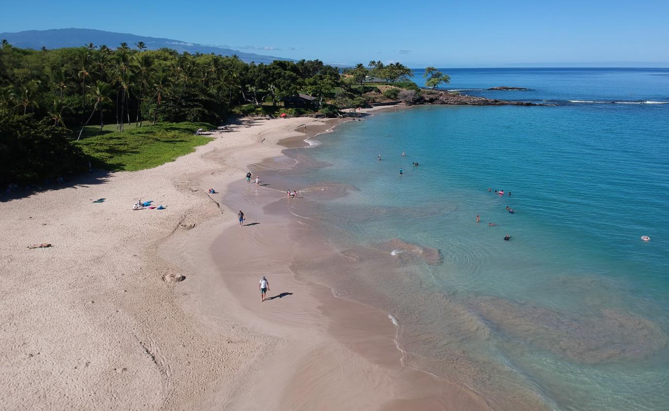 Photo de Plage de Kaunaʻoa / Mauna Kea avec sable lumineux de surface