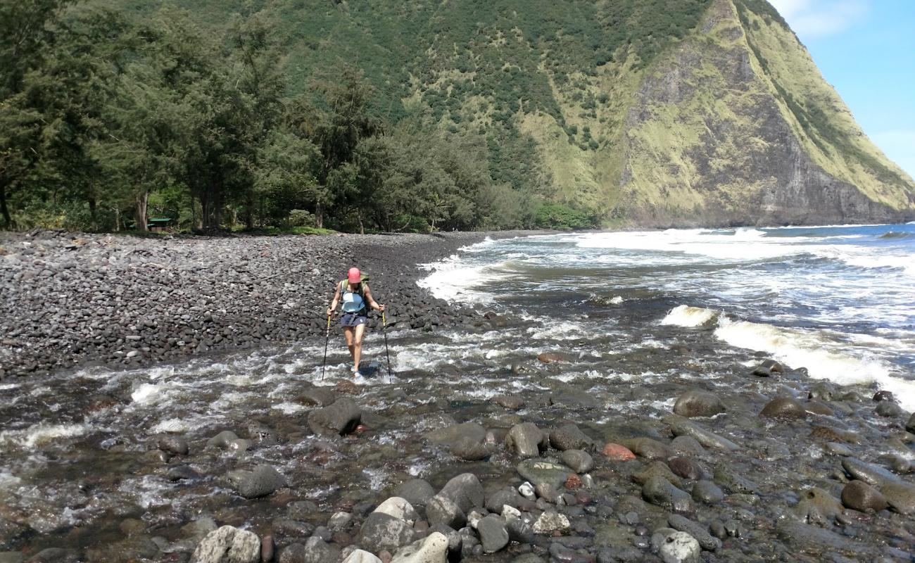 Photo de Waimanu Valley avec galets bruns de surface