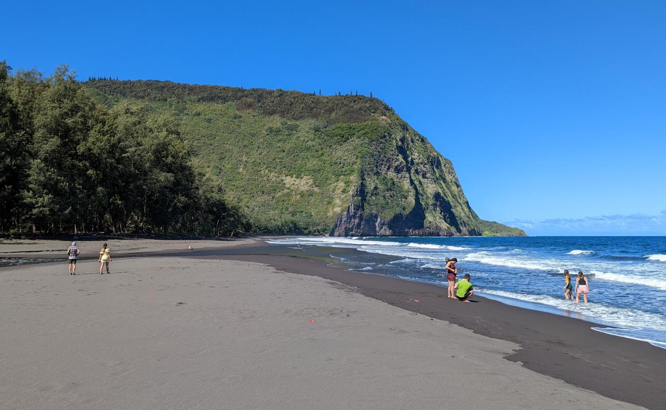 Photo de Waipi'o Black Sand Beach avec sable brun de surface