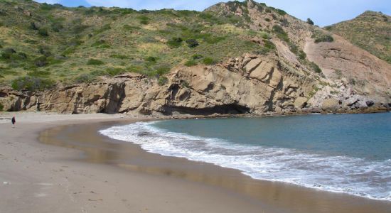 Santa Cruz Island