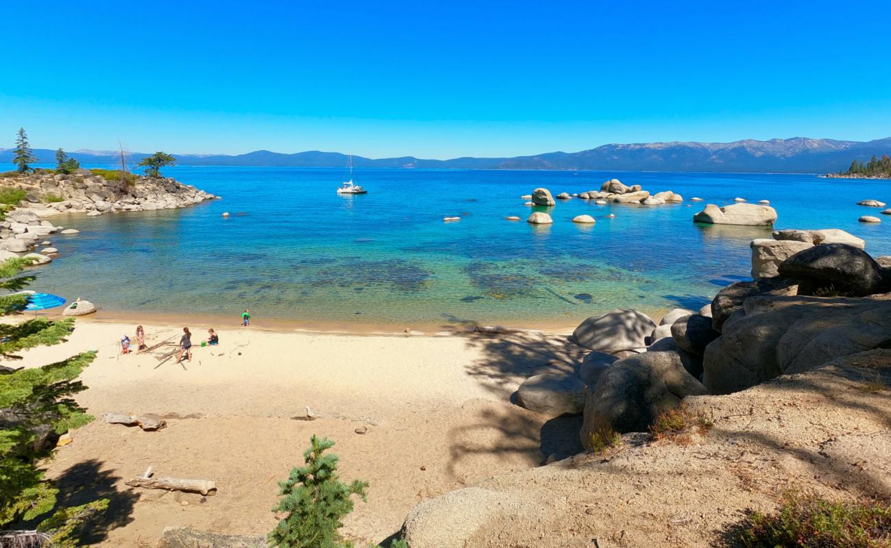 Photo de Whale Beach avec sable beige de surface