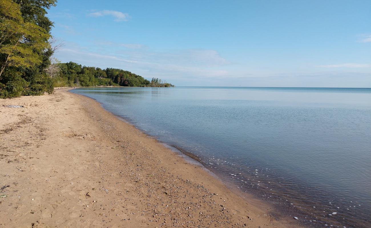 Photo de Four Mile Scenic Turnout Beach avec sable lumineux de surface