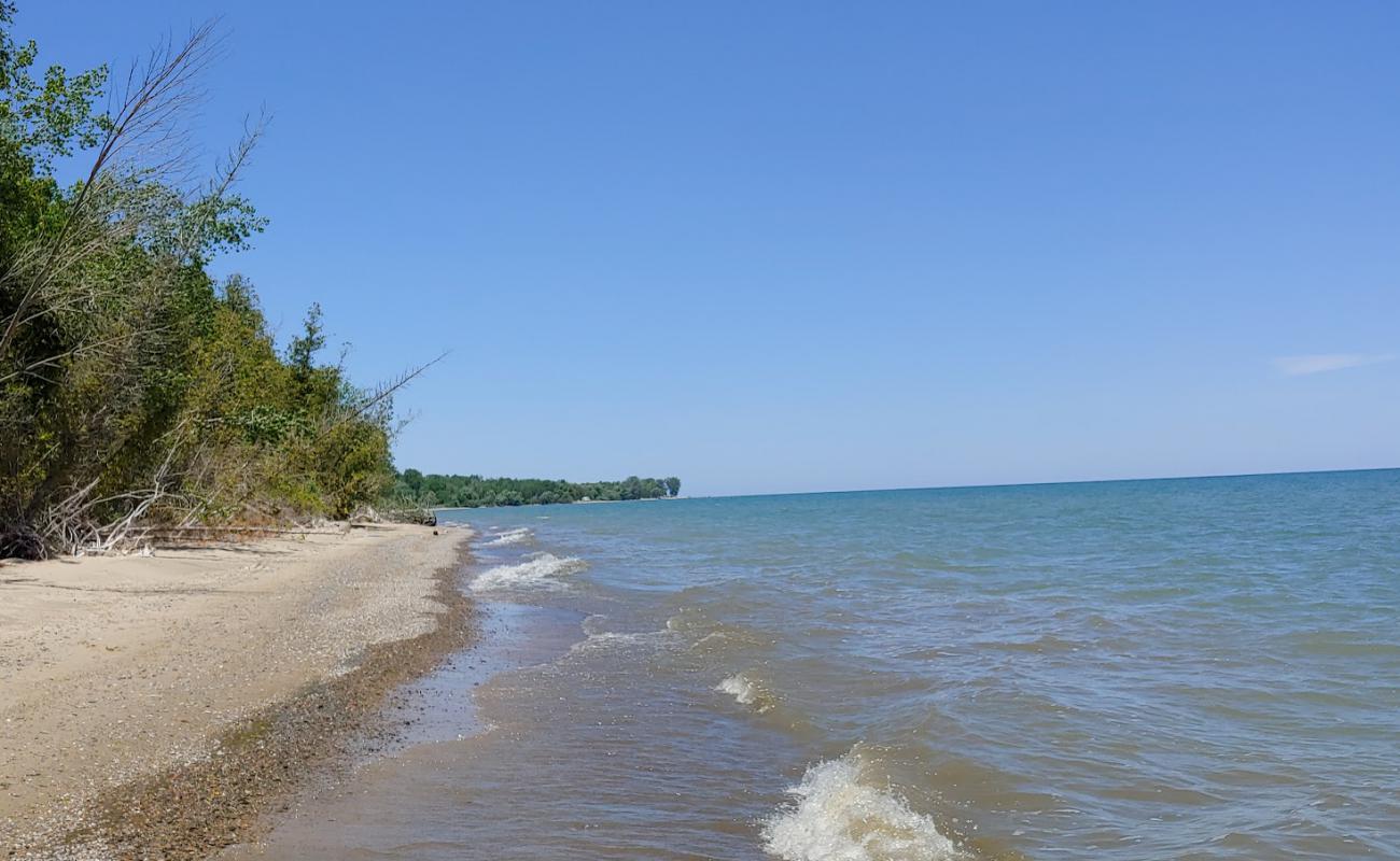 Photo de White Rock Roadside Beach avec sable lumineux de surface