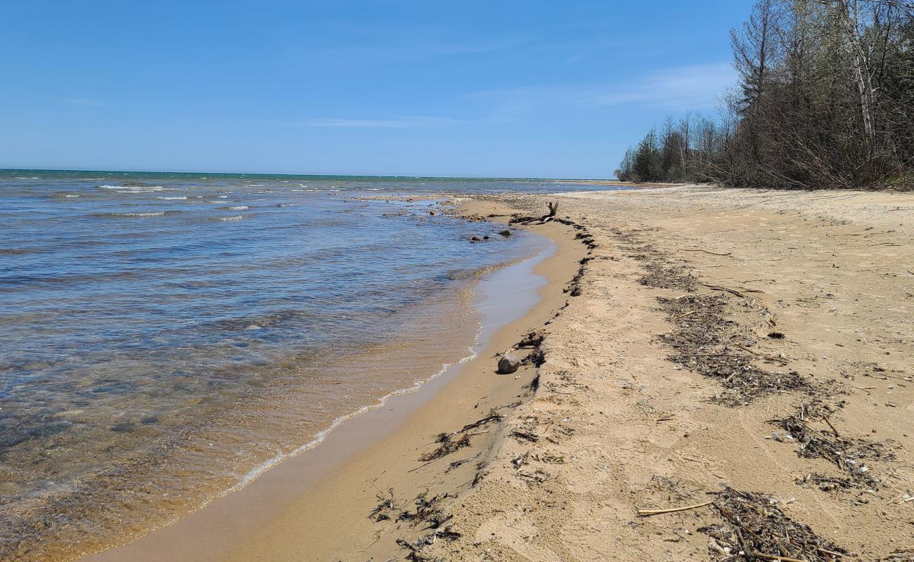 Photo de Bebe Beach avec sable lumineux de surface