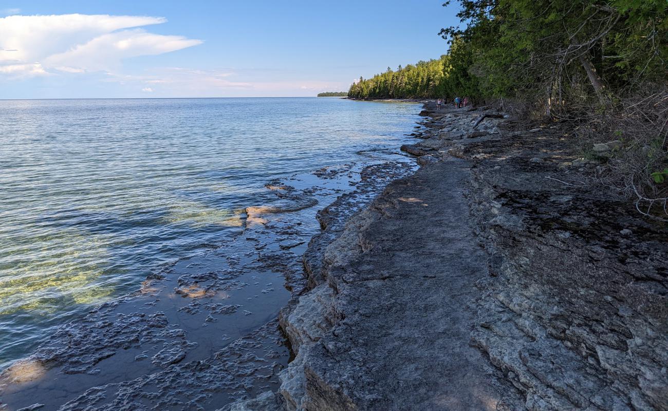 Photo de Fossil Ledges Beach avec terrain rocheux de surface
