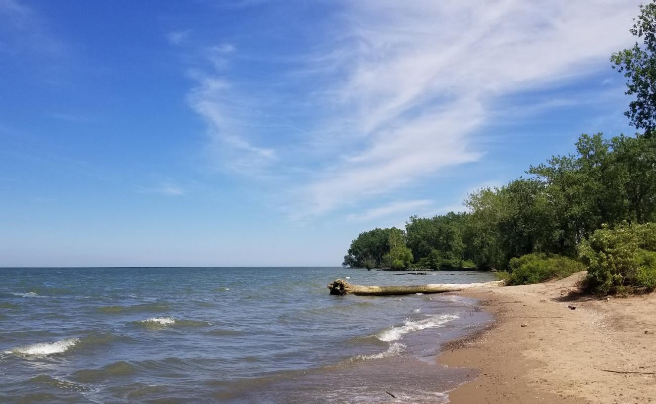 Photo de Benton Beach avec sable lumineux de surface