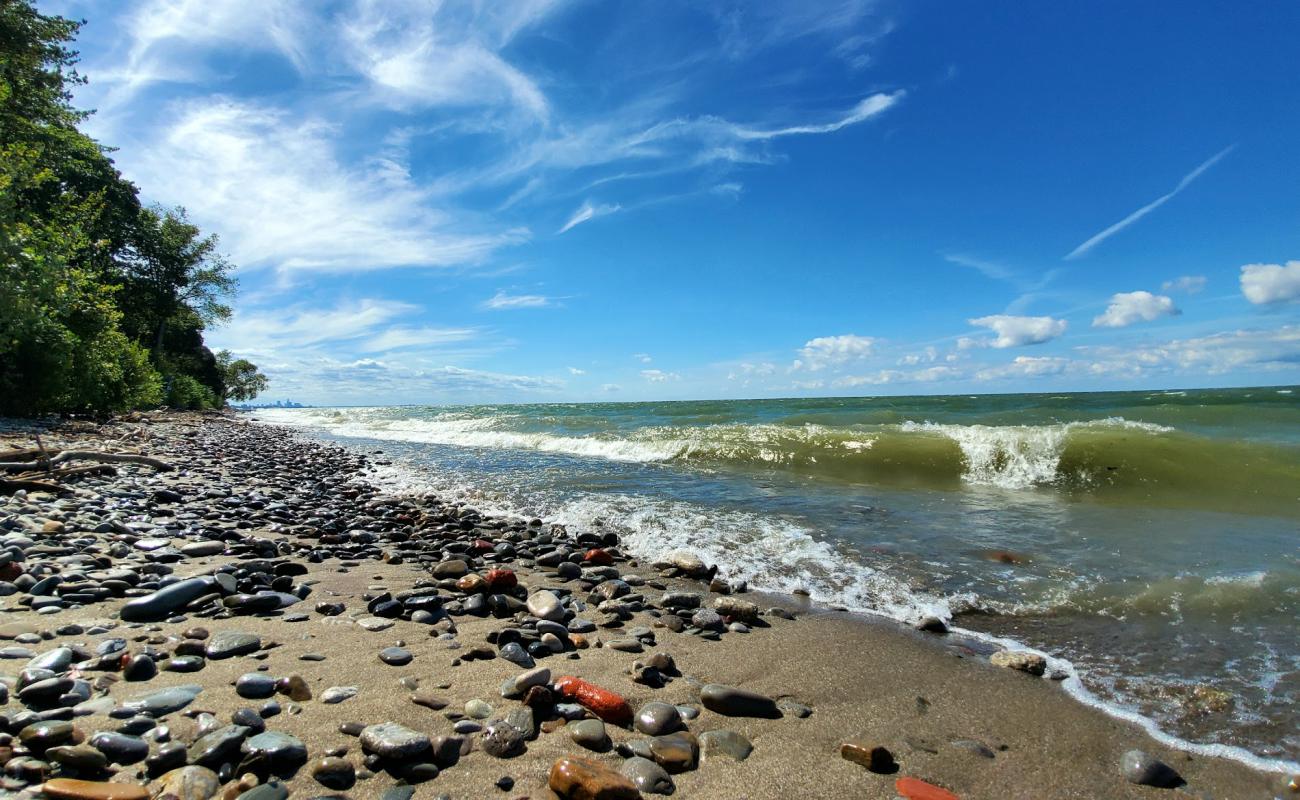 Photo de Arcadia Beach avec sable brillant et rochers de surface