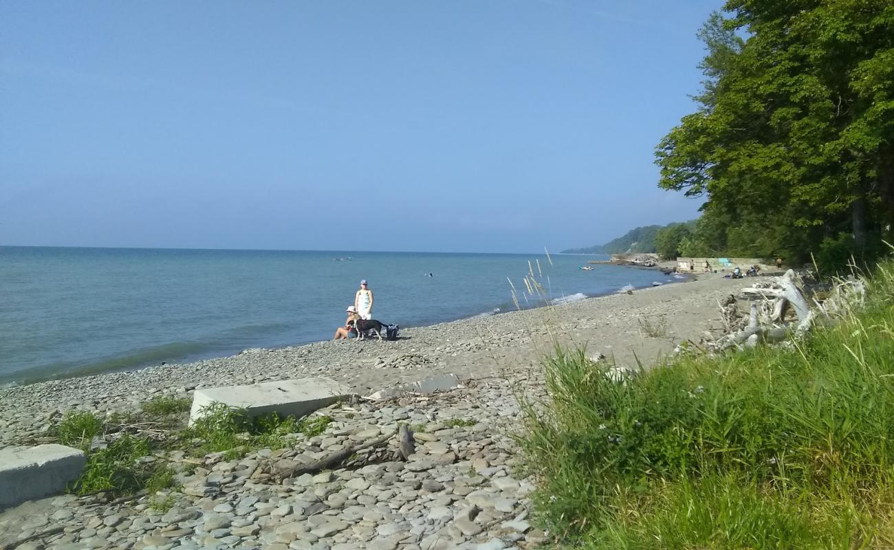 Photo de Avonia Beach avec caillou gris de surface