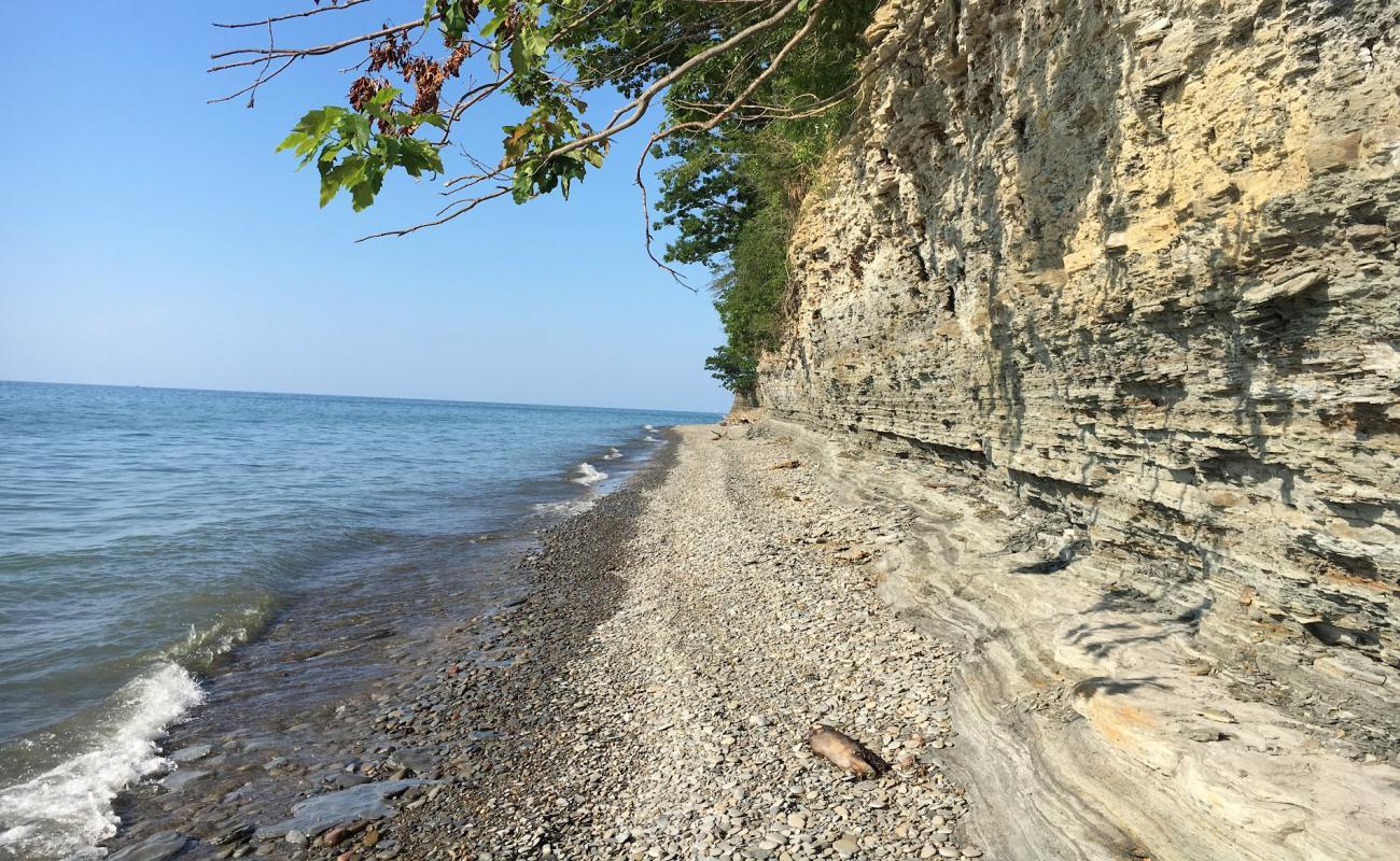 Photo de Ripley Beach avec galets gris de surface