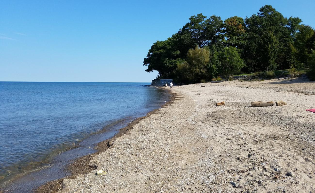 Photo de Lake Erie Beach avec sable beige & galets de surface
