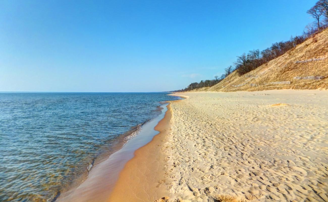 Photo de Kirk Park avec sable beige fin de surface