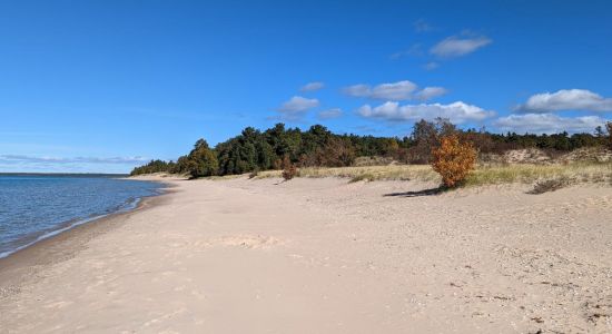 Sturgeon Bay Beach