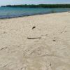 Mackinaw Beach