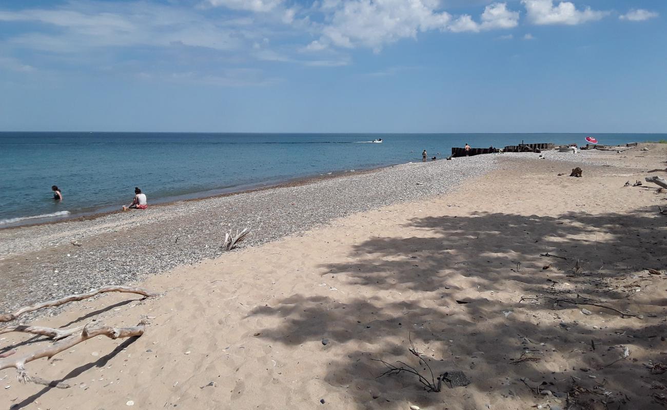 Photo de Isherwood beach avec sable gris avec caillou de surface