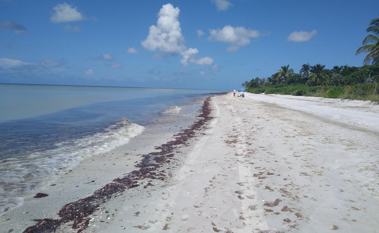 Photo de Sanibel beach avec sable blanc de surface