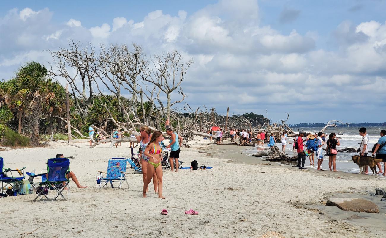 Photo de Driftwood beach avec sable beige fin de surface