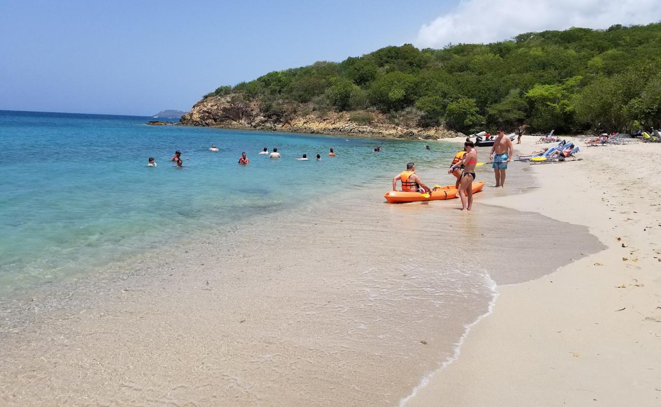 Photo de Frenchman Bay beach avec sable beige fin de surface
