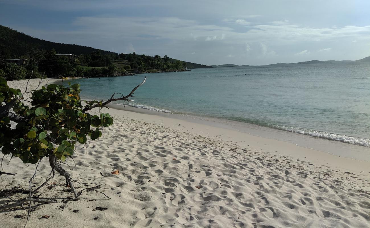 Photo de Caneel Bay beach avec sable fin et lumineux de surface