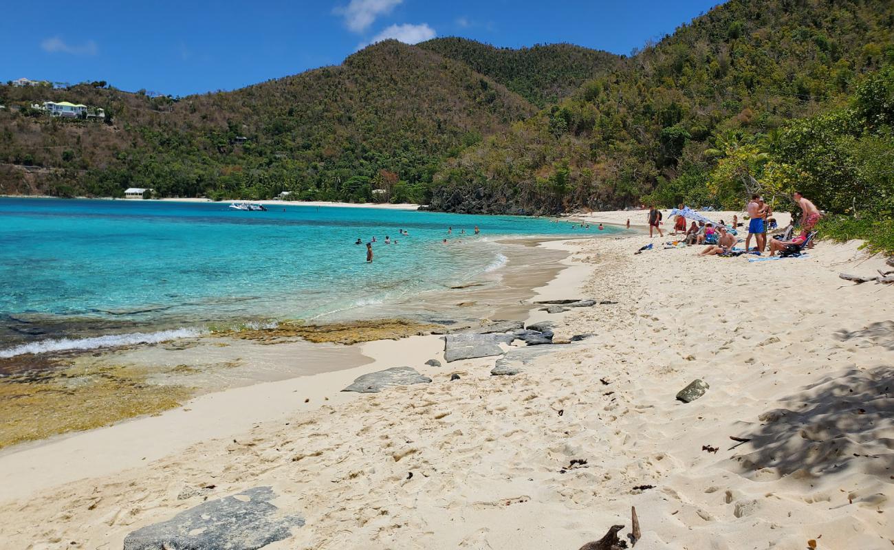 Photo de Hawksnest beach avec sable beige fin de surface