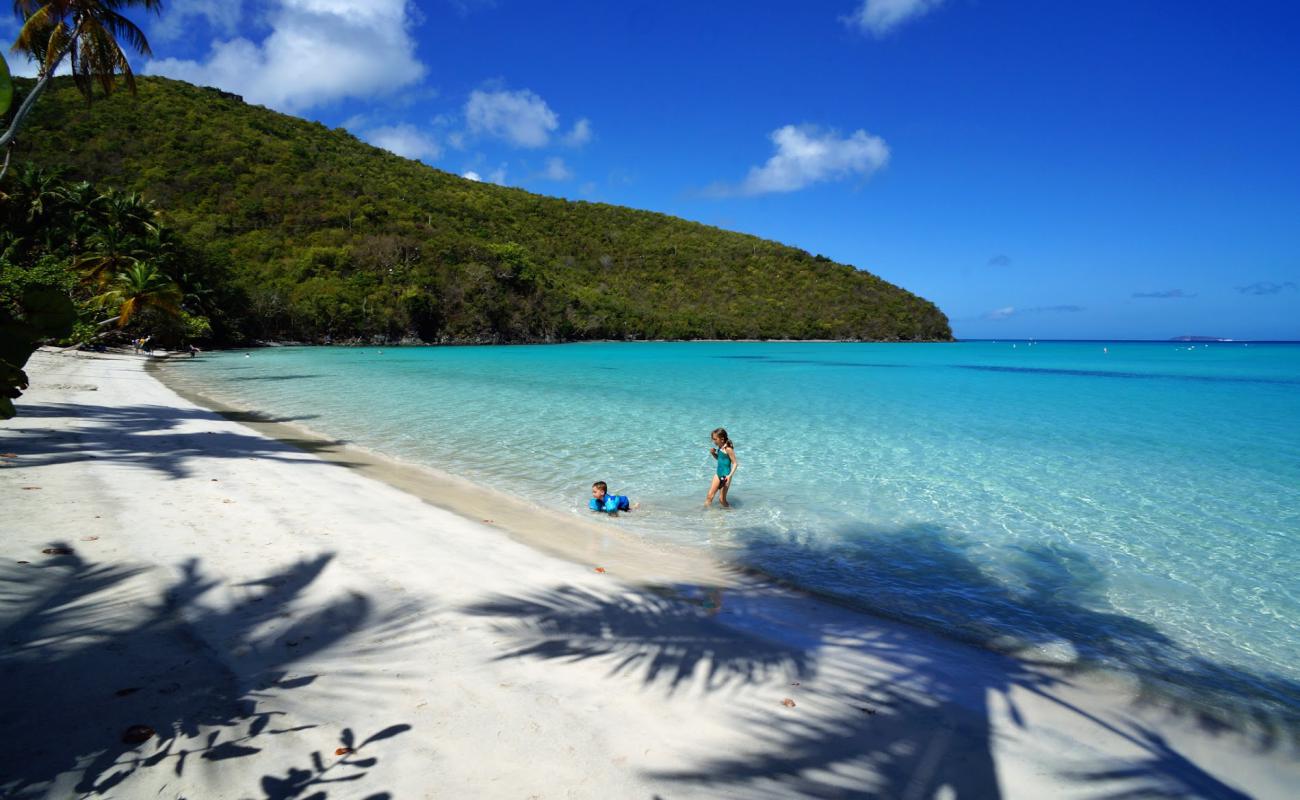 Photo de Plage de Maho Bay avec sable fin et lumineux de surface