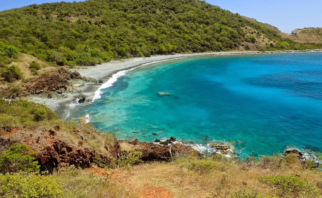 Photo de Blue Cobblestone beach avec galets gris de surface