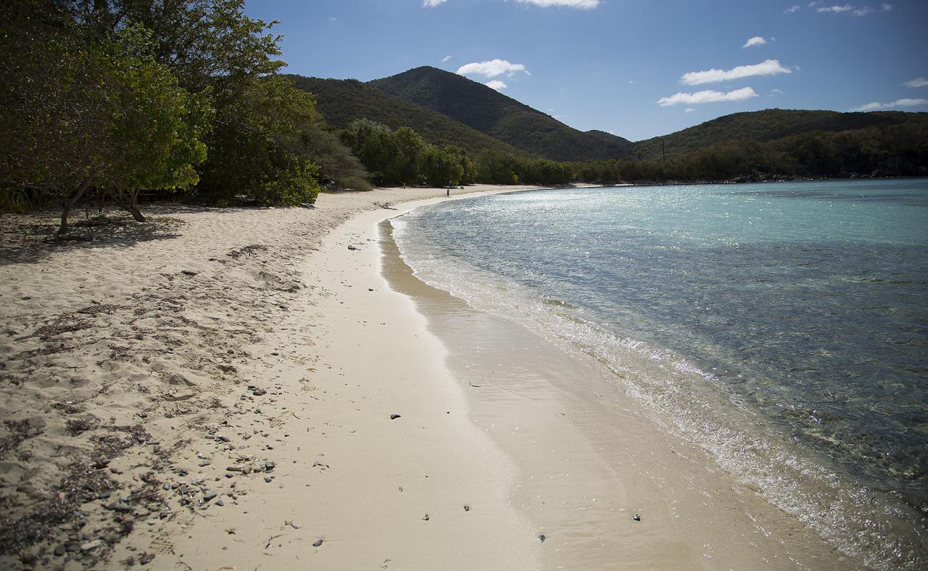 Photo de Lameshur beach avec sable fin et lumineux de surface