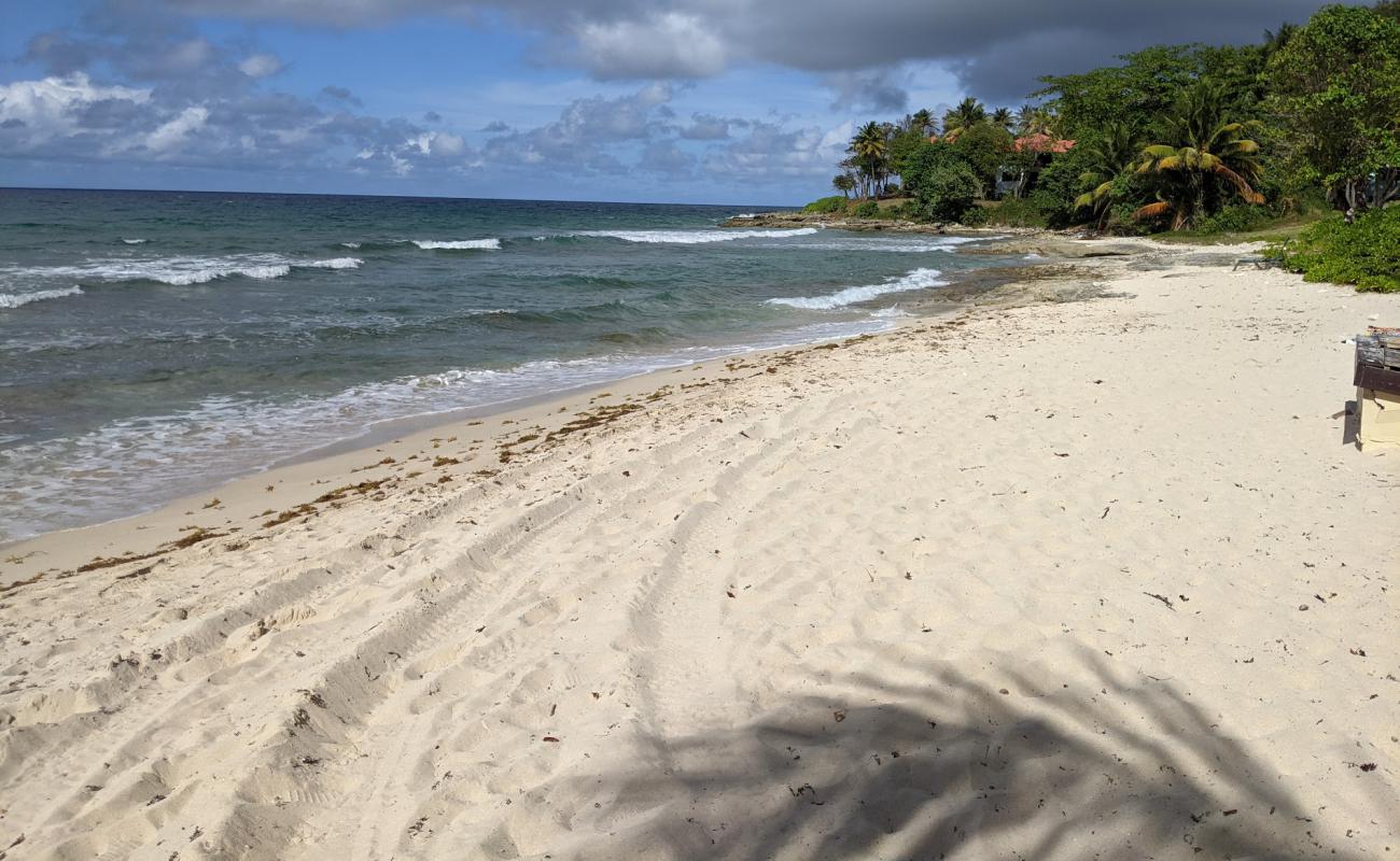 Photo de Davis beach avec sable beige de surface