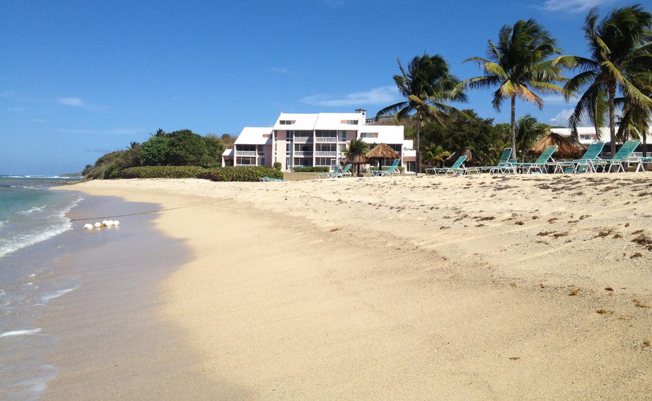 Photo de Salt River beach avec sable fin et lumineux de surface